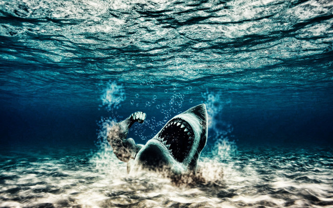 Обои картинки фото разное, компьютерный дизайн, акула, море, рука