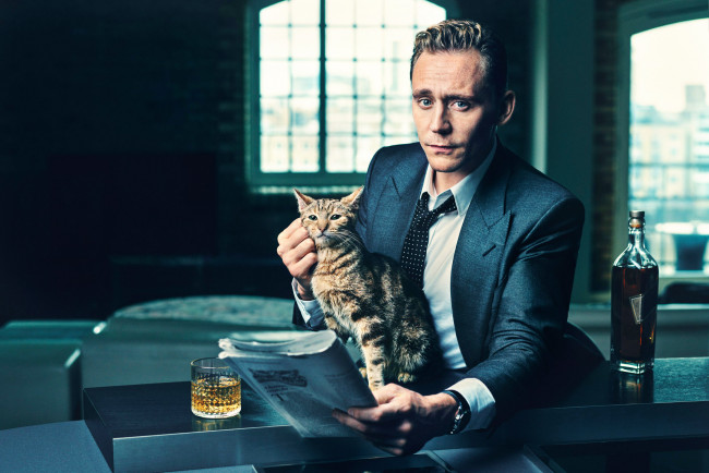 Обои картинки фото мужчины, tom hiddleston, газета, кот