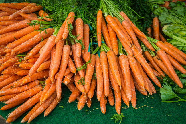 Обои картинки фото еда, морковь, оранжевая, корнеплоды, урожай