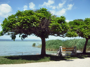Картинка природа реки озера озеро деревья скамейка