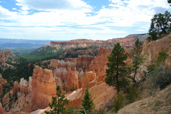 Картинка bryce canyon utah природа горы каньон скалы пики леса сша
