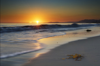 Картинка sunset природа восходы закаты водоросли пляж закат океан