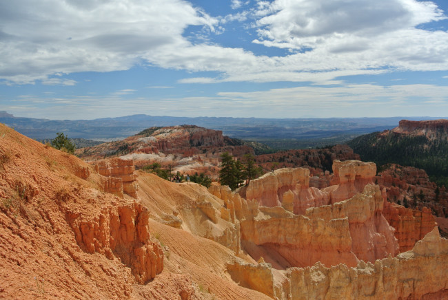 Обои картинки фото bryce, canyon, utah, природа, горы, сша, леса, каньон, скалы, пики