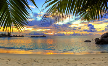 Картинка природа тропики берег пальмы океан пляж