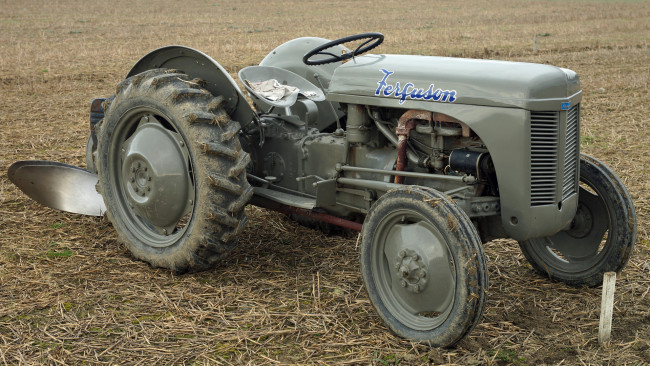 Обои картинки фото the classic fergie tea tractor, техника, тракторы, колесный, трактор