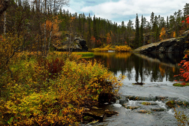 Обои картинки фото природа, реки, озера, лапландия, финляндия, река, лес, трава, осень