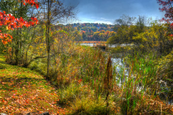 Картинка природа реки озера краски река осень лес