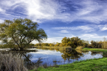 Картинка природа реки озера островок озеро деревья