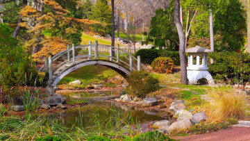Картинка природа парк ручей мост