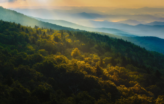 Обои картинки фото природа, лес, горы, рассвет, осень