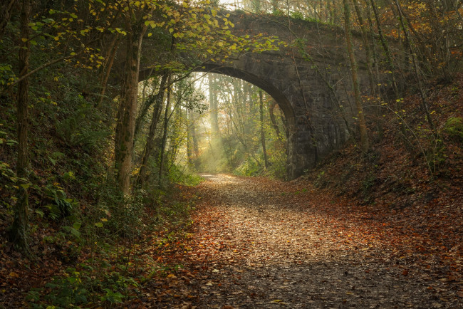 Обои картинки фото природа, дороги, осень, железнодорожный, мост, арка, дорога, парк
