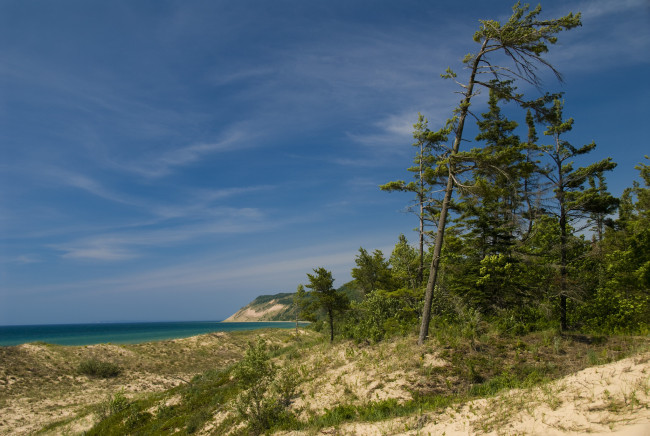 Обои картинки фото природа, побережье, песок, трава, деревья, небо, море, берег