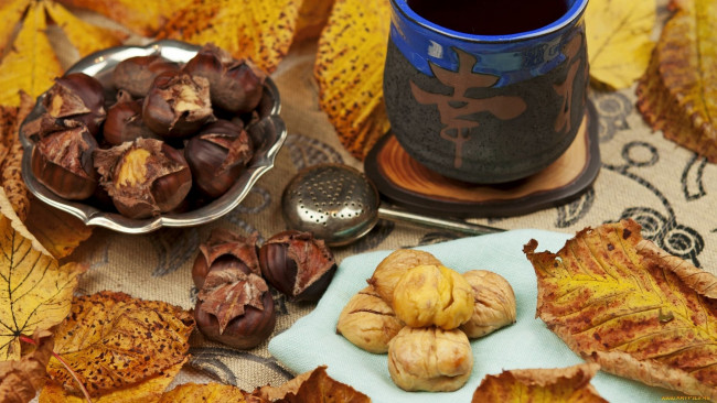 Обои картинки фото еда, орехи,  каштаны,  какао-бобы, каштаны, осень, листья