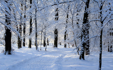 обоя природа, зима, сугробы, снег