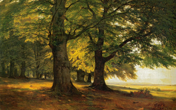Картинка тевтобургский лес рисованные живопись