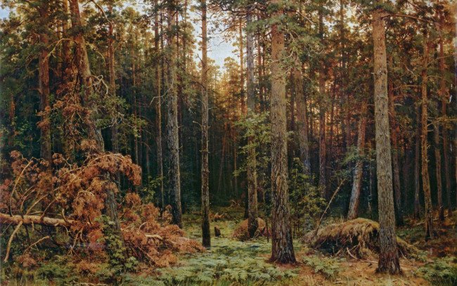Обои картинки фото сосновый, лес, рисованные, живопись