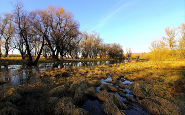 Картинка природа реки озера река деревья поле