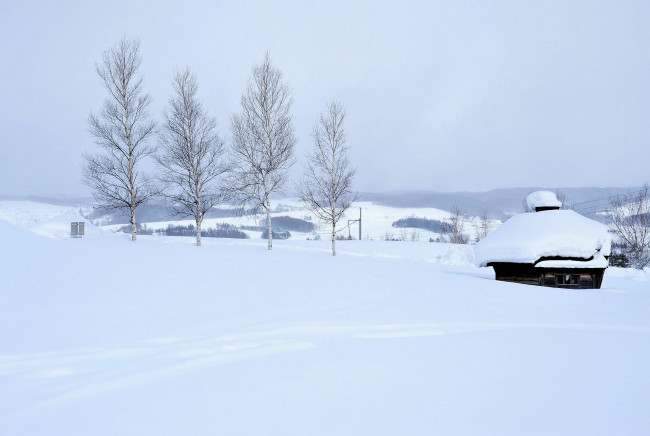 Обои картинки фото природа, зима, деревья, дом, снег