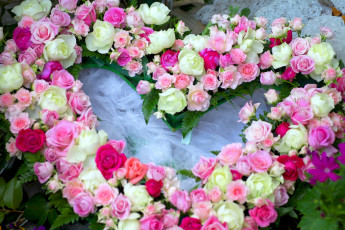 Картинка цветы розы венок праздник сердце разноцветный