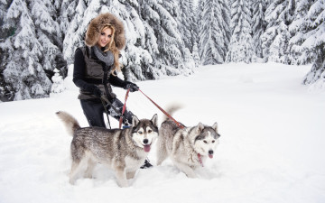 Картинка девушки -unsort+ блондинки девушка блондинка улыбка собаки снег зима ели