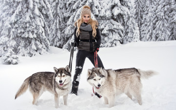 Картинка девушки -unsort+ блондинки девушка блондинка поза собаки порода хаски снег