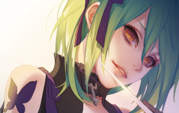 Картинка аниме оружие +техника +технологии зеленые волосы бабочка взгляд девушка лезвие
