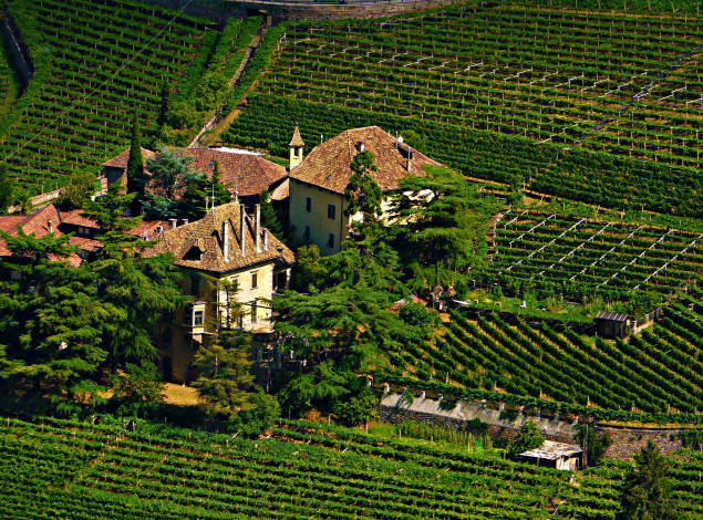 Обои картинки фото vinery castle  bolzano италия, города, замки италии, виноградники, bolzano, поля, замок, италия