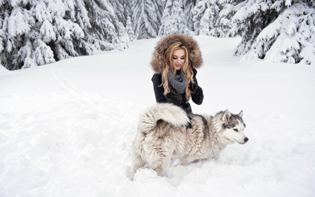 Обои картинки фото девушки, -unsort , блондинки, блондинка, девушка, собака, взгляд, снег, лес