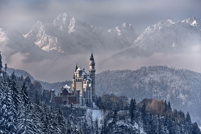 Обои картинки фото города, замок нойшванштайн , германия, бавария, замок, нойшванштайн, горы, облака, небо, зима, снег, деревья