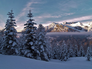 Картинка природа зима альпы франция alps france деревья ели сен-леже-ле-мелез горы снег