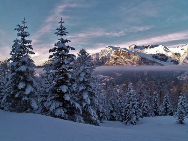 Обои картинки фото природа, зима, альпы, франция, alps, france, деревья, ели, сен-леже-ле-мелез, горы, снег