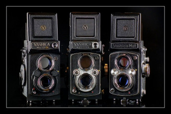 обоя yashica mat family, бренды, бренды фотоаппаратов , разное, фотокамера