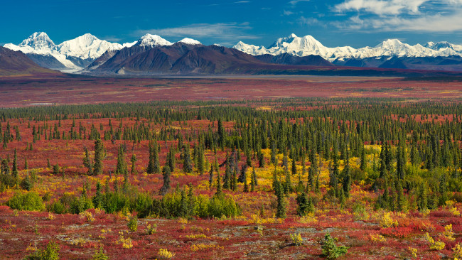 Обои картинки фото alaska, природа, пейзажи, горы, пейзаж, осень