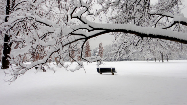 Обои картинки фото природа, зима, снег, парк, скамья