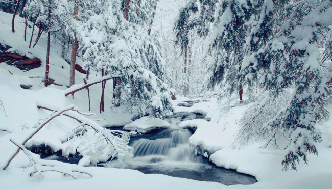 Обои картинки фото природа, зима, лес, деревья, река, течение, пейзаж, снег