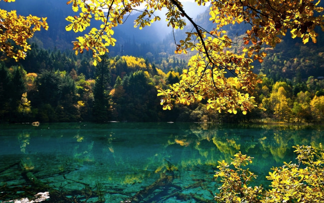 Обои картинки фото природа, реки, озера, горы, лес, деревья, озеро, ветки, осень