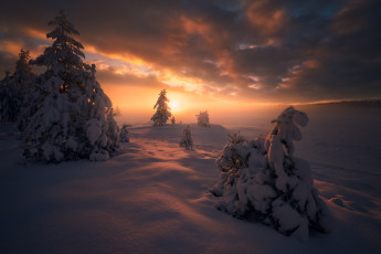 Картинка природа восходы закаты зима норвегия закат ringerike ели деревья norway рингерике сугробы снег