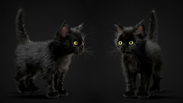 Картинка 3д+графика животные+ animals черный фон котенок