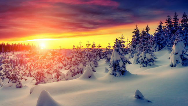 Обои картинки фото природа, зима, украина, карпаты