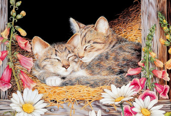 Картинка рисованное jane+maday кошки солома цветы сарай