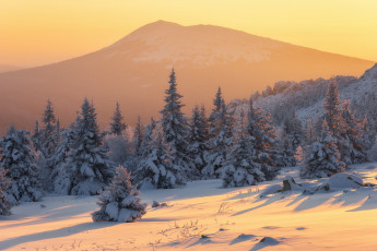 Картинка природа зима пейзаж