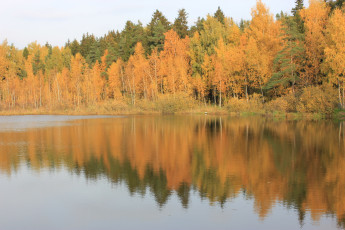 Картинка природа реки озера лес озеро осень