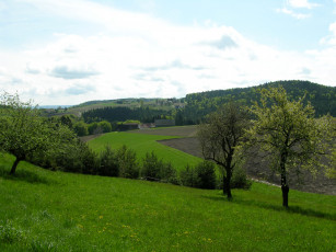 Картинка природа поля поле зелень весна