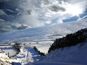 Картинка природа зима снег дорога