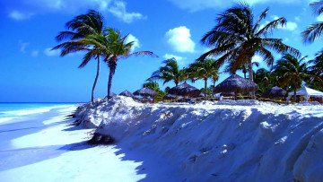 Картинка природа тропики песок хижины пальмы