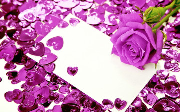 Картинка цветы розы роза сиреневый сердечки бумага