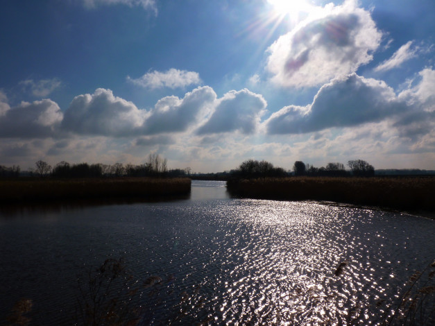 Обои картинки фото нидерланды, зеландия, sluis, природа, реки, озера, камыш, река, облака
