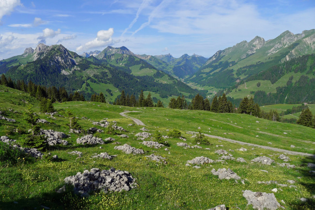 Обои картинки фото rieneschli, switzerland, природа, горы, трава