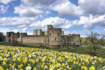 Картинка alnwick+castle города -+дворцы +замки +крепости луг замок цветы