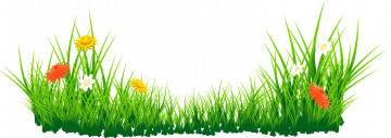 Картинка векторная+графика цветы+ flowers цветы фон трава
